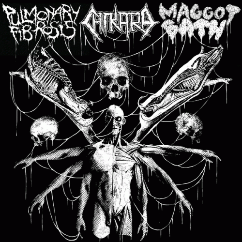 Chikara : Pulmonary Fibrosis - Chikara - Maggot Bath